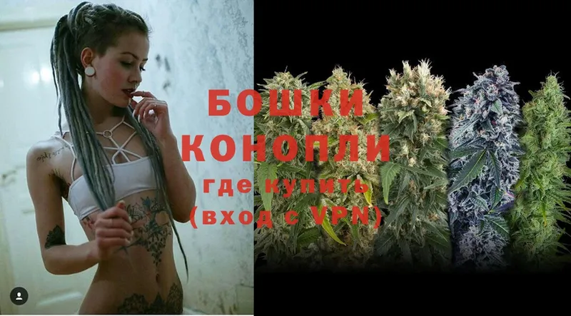 Бошки Шишки Ganja  Грайворон 